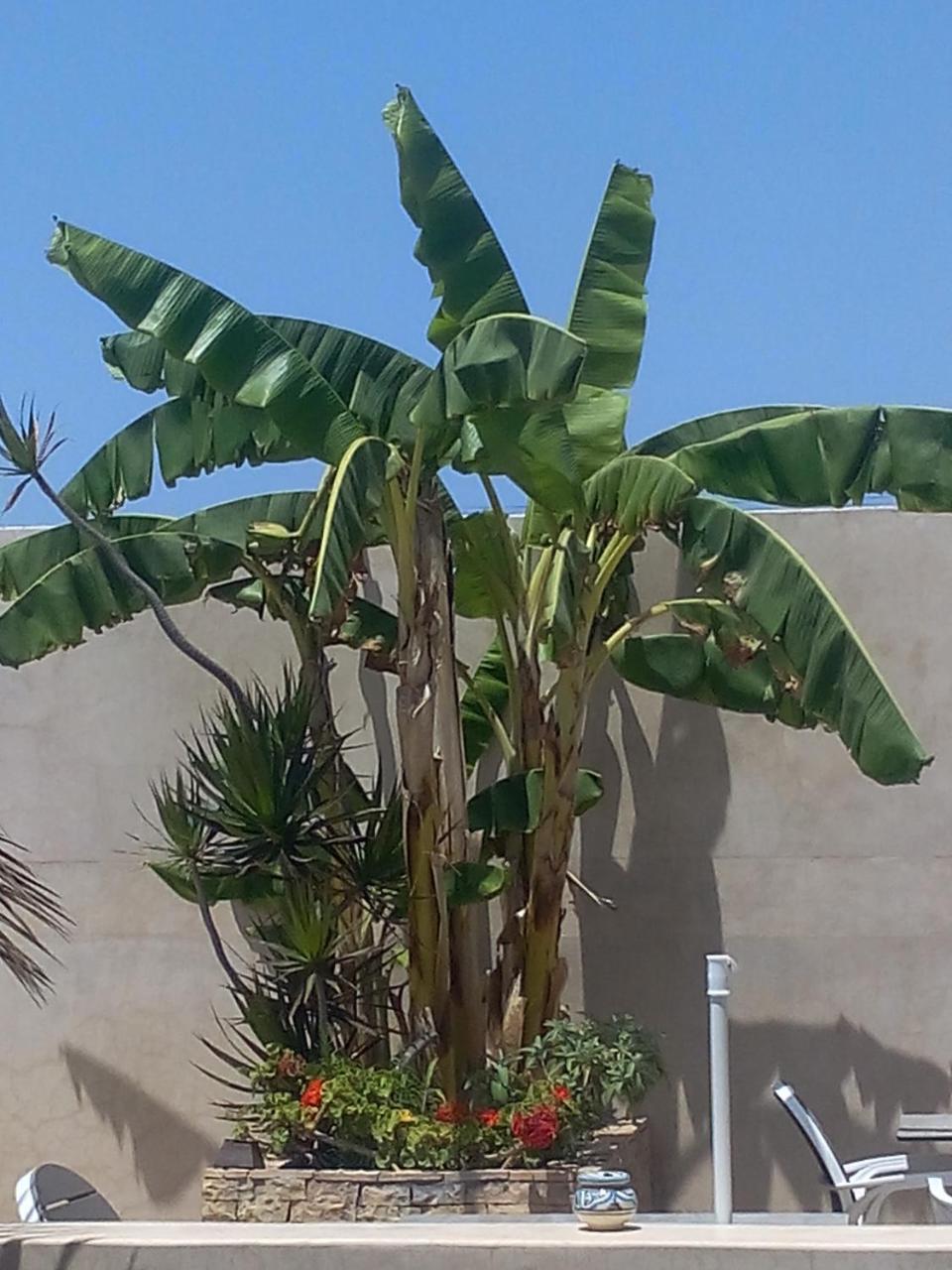 Riad La Villa & Spa เอลจาดิด้า ภายนอก รูปภาพ